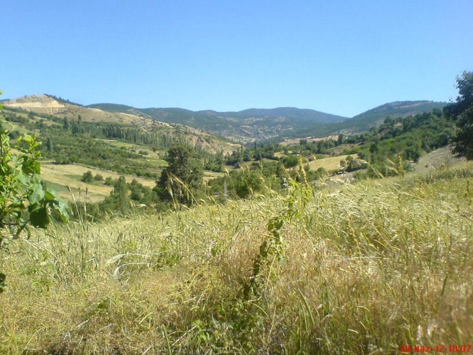 Turgay Asmalıkaya 25 Haziran 2012